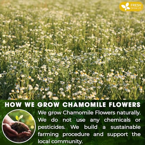 Sleepy-Time Immune & Heart Trio, Chamomile, Soursop & Hibiscus Herbal Tea Bags, 100% Natural and Pure Flowers & Leaves, Eco-Conscious Tea Bags, Caffeine-Free, No Sugar, No Gluten, Vegan – Herbal Tea Beverage
